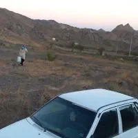 زمین-باغی-در-بالاتر-از-سنگ-سفید