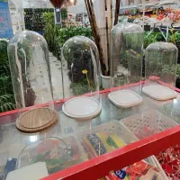 شیشه باکس شیشه آجیل یلدا گلدان تراریوم بامبو چله|گل و گیاه طبیعی|قم, ولیعصر|دیوار