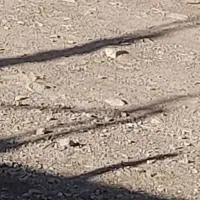 زمین-فیض-اباد