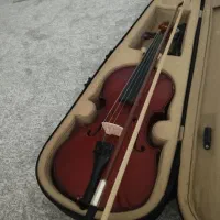 ویالون|ویولن|بندرعباس, |دیوار