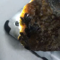 سنگ قیمتی|کلکسیون اشیاء عتیقه|گلبهار, شهر جدید گلبهار|دیوار