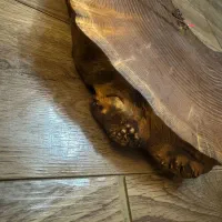 ساعت دیواری روستیک نو|ساعت دیواری و تزئینی|مشهد, ایثارگران|دیوار