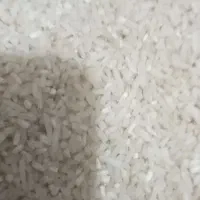 برنج ، گیلان حومه شهر فومن