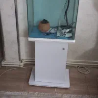 آکواریوم شیشه خم