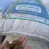 بلوط خوراک دام و طیور