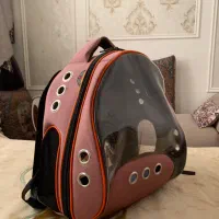 کیف حمل حیوانات