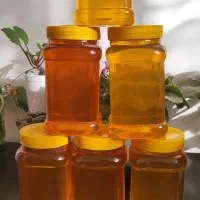 عسل طبیعی و انجیر پاستیلی