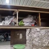 فروش فوری دکه ساندویچ|فروشگاه و مغازه|میناب, |دیوار