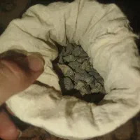 فسیل/باستانی