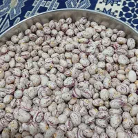 حبوبات|حراج|بومهن, |دیوار