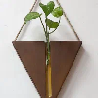 گلدان|گل و گیاه طبیعی|قرچک, زیبا شهر|دیوار