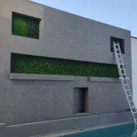 چمن مصنوعی کاج