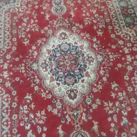 فرش گل قرمز|فرش|مشهد, شهید علی محمدی|دیوار