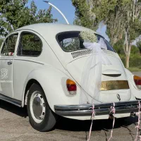 اجاره انواع ماشین عروس باراننده خانم وآقا