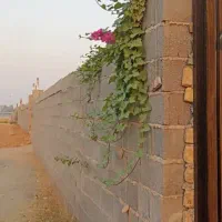 باغ ۹ دی کمربندی|فروش زمین و ملک کلنگی|اندیمشک, |دیوار