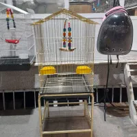 پرنده سرای طوطیاهشتگرد|پرنده|هشتگرد, مدرس|دیوار