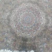 فرش|فرش|قم, علی آباد سعدگان|دیوار