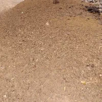 کود حیوانی خشک|خدمات باغبانی و درختکاری|سنندج, |دیوار