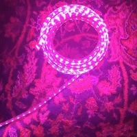 ریسه آر جی بی (RGB)|ریسه و چراغ تزئینی|تهران, آسمان|دیوار