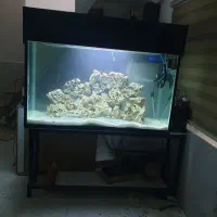 اکواریم با میز