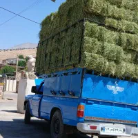 یونجه در خدمات باغبانی و خدمات