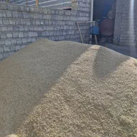 جو دیمی