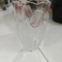لیوان و گیلاس خوری دیس میوه