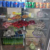 یخچال ۲×۲تمام استیل متور دانفوس