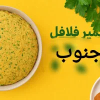 فلافل خانگی خوش عطر جنوب|خوردنی و آشامیدنی|مشهد, کوشش|دیوار