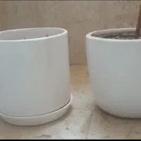 سماور گازی نفتی برقی سبد چوبی سطل گلدان بیلچه|کلکسیون اشیاء عتیقه|مشهد, چهارچشمه|دیوار