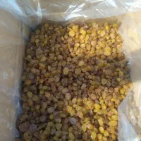 کشمش|خوردنی و آشامیدنی|اهواز, زیتون کارمندی|دیوار