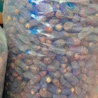 خرمای سرنوشتی پیارم