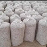 فروش تفاله چغندر