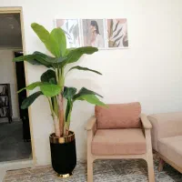 درختچه مصنوعی، آینه، بوفه، رگال، پاف|گل مصنوعی|آبیک, |دیوار