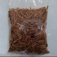 فروش کرم میلورم بصورت عمده وخورده|خزنده|مراغه, |دیوار