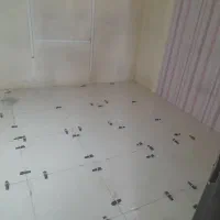 کاشی کاری سرامیک کاری چسبی دوغابی قیمت مناسب|خدمات پیشه و مهارت|مشهد, خواجه ربیع|دیوار