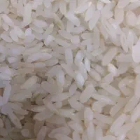 برنج کامفیروزی درجه یک