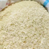 خریدوفروش برنج کامفیروزی