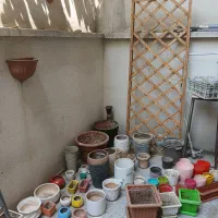 گلدان سفالی و پلاستیکی تعداد زیاد