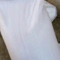 گندم دیم بذری 150 کیلو