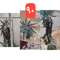 گل طبیعی خونگی شاداب|گل و گیاه طبیعی|قائن, |دیوار