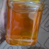 عسل گون آستانه دهاقان به شرط مرجوعی|خوردنی و آشامیدنی|اصفهان, منتظرالمهدی|دیوار