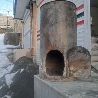 زوپای دارینه