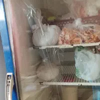 یخچال تک درب فروشگاهی 10م ت