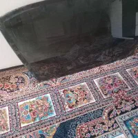 شیشه عقب پژو