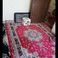 خانه ویلایی 78 متری دولت غربی کوچه 10 کوچه 16.8|فروش خانه و ویلا|شیراز, تندگویان|دیوار