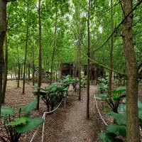 جایی-که-حال-خوب-جریان-دارد