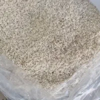 نیمدانه دم سیاه