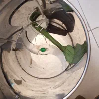 سبزی خورد کن سبزیران|خردکن، آسیاب، غذاساز|صدرا-فارس, فاز ۱|دیوار