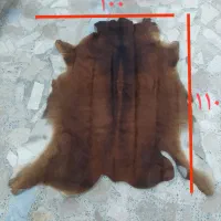 پوست گاو دباغی شده